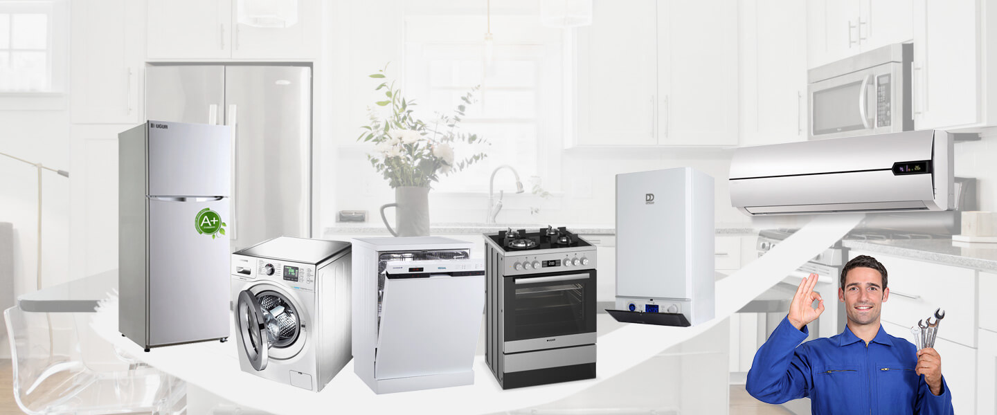 Kayseri Smeg Servisi